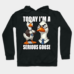 Today I'M A Serious Goose Funny Humor Quote Hoodie